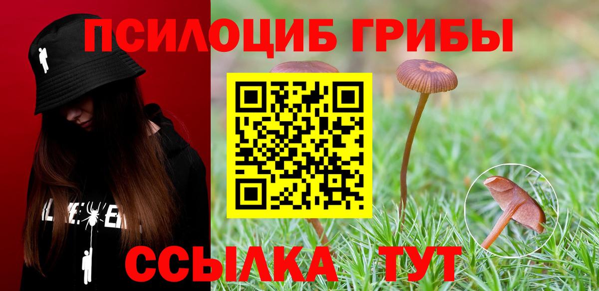 Галлюциногенные грибы Cubensis  Псилоцибиновые грибы Cubensis  как найти наркотики  Новочебоксарск  Вход с VPN 