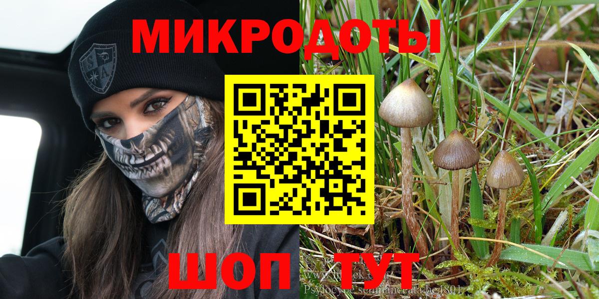 Псилоцибиновые грибы мухоморы Новочебоксарск